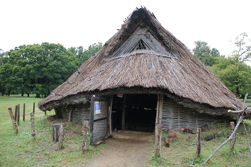 加曽利貝塚の復原住居は秘密基地みたいで子どもも喜びます