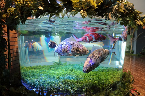 東京ディズニーリゾートからすぐの変なホテル舞浜東京ベイのフロントではお魚ロボットが癒してくれます