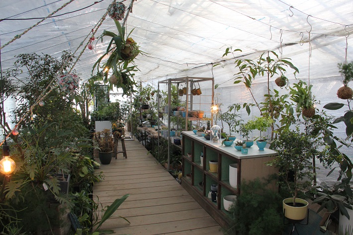 個性豊かなお店が集まる「KAWAGUCHI SHINMACHI」の「greenshare」では観葉植物を扱っています。