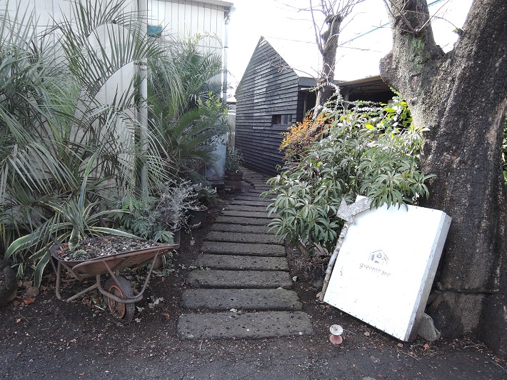 個性豊かなお店が集まる「KAWAGUCHI SHINMACHI」の「greenshare」では観葉植物を扱っています。