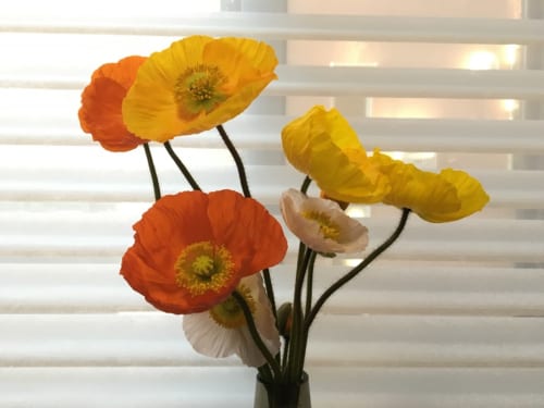 館山ファミリーパークで摘んだポピーの花が見事に咲きました