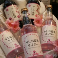 花桃まつりでも販売される「やしお花桃サイダー」