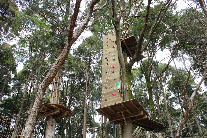 泉自然公園にオープンした「フォレストアドベンチャー」のアドベンチャーコースにあるウォールクライミング