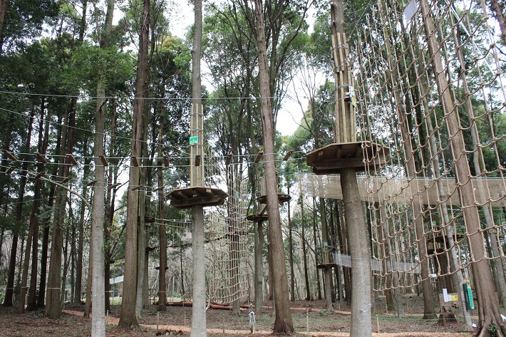 泉自然公園にオープンした「フォレストアドベンチャー」