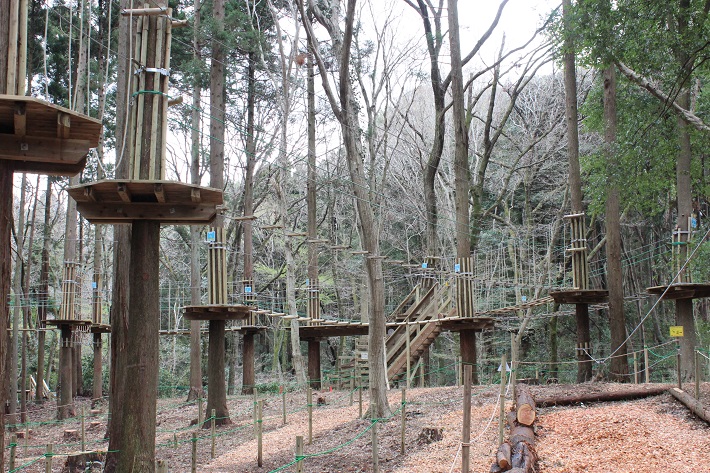 泉自然公園にオープンした「フォレストアドベンチャー」のキャノピーコースは家族連れにオススメ