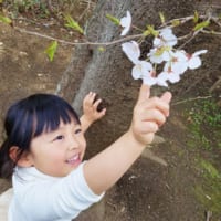 背の高い植物は、子供に背伸びしてちょっと触ってもらうといい写真が撮れます