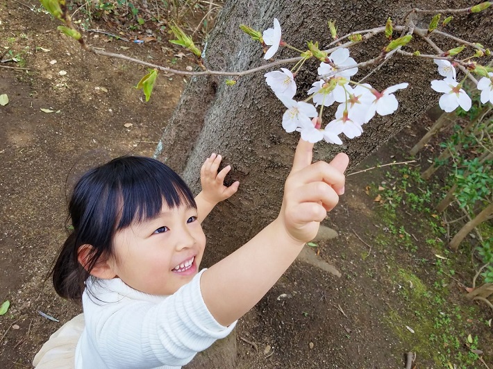 背の高い植物は、子供に背伸びしてちょっと触ってもらうといい写真が撮れます