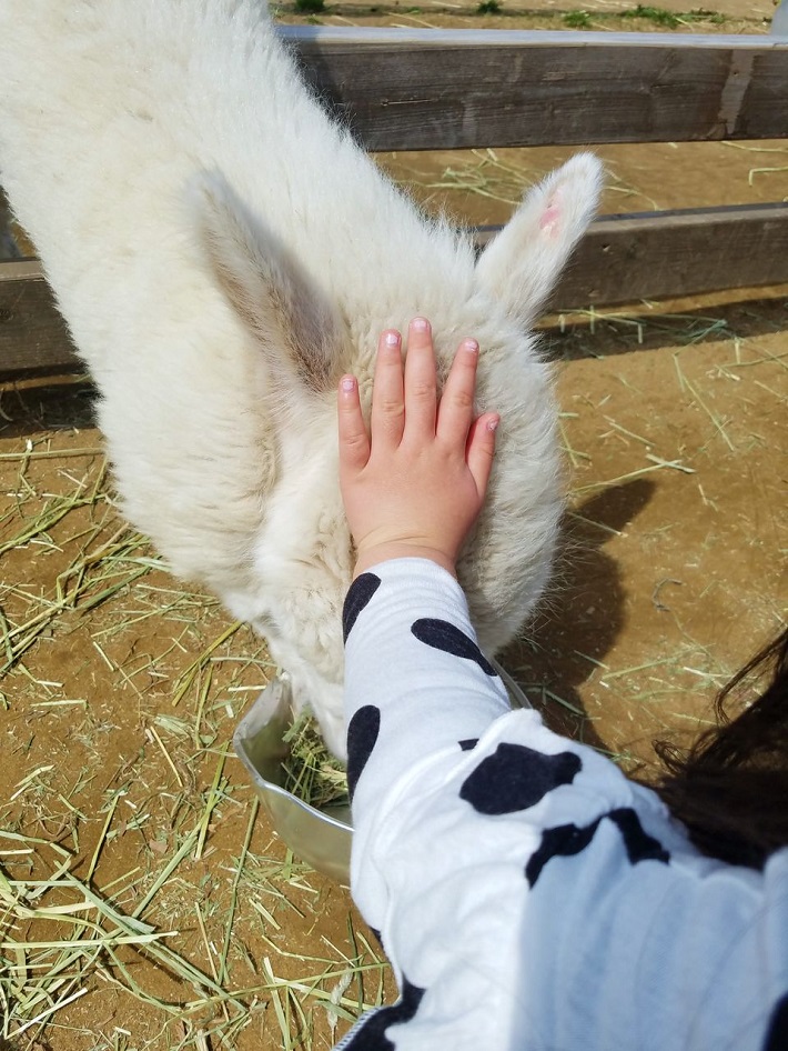 子供の手元だけ写してもカワイイ写真になります