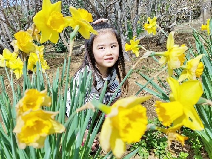 子供と花を撮影するときは花を手前にする構図もおすすめ