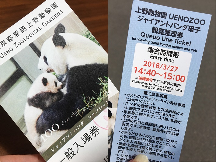 上野動物園の入園券とジャイアントパンダ母子観覧整理券