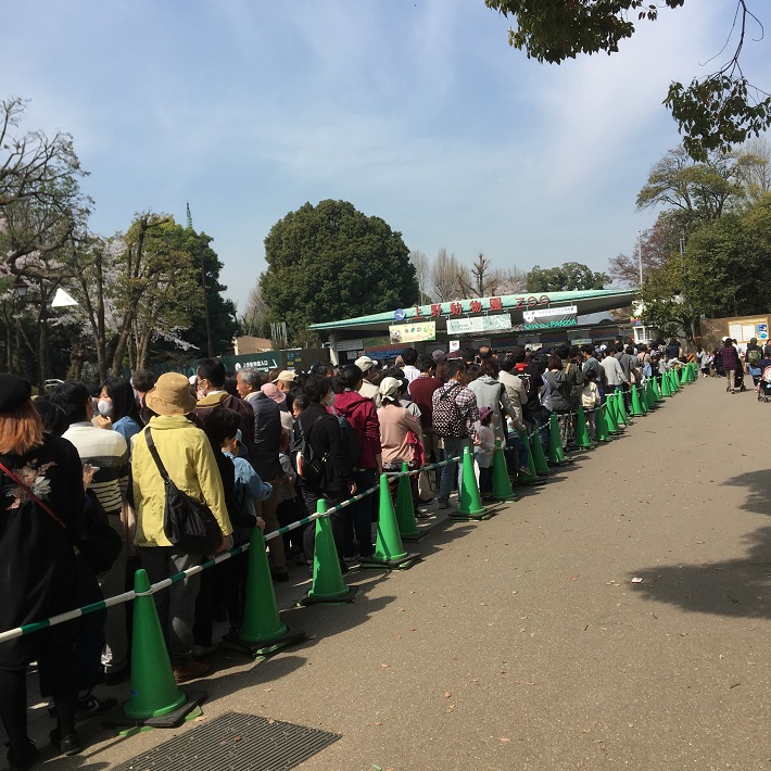 2018年3月春休み中の上野動物園入園券行列