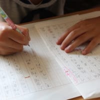 夏休みの宿題「読書感想文」にお困りのママ必見