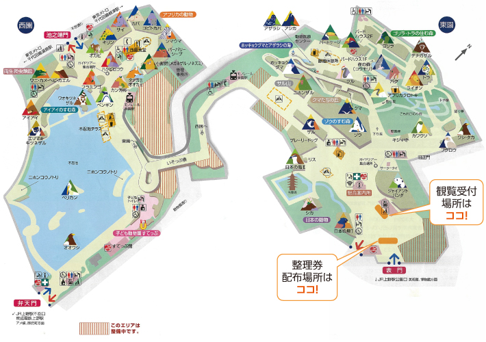 上野動物園地図、シャンシャン観覧整理券配布場所など