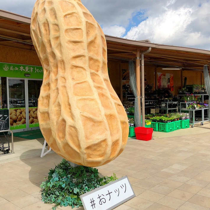 木更津インターすぐ近くに2017年にオープンした道の駅「うまくたの里」