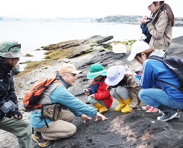 沖ノ島を巡るエコツアーも定期的に開催しています