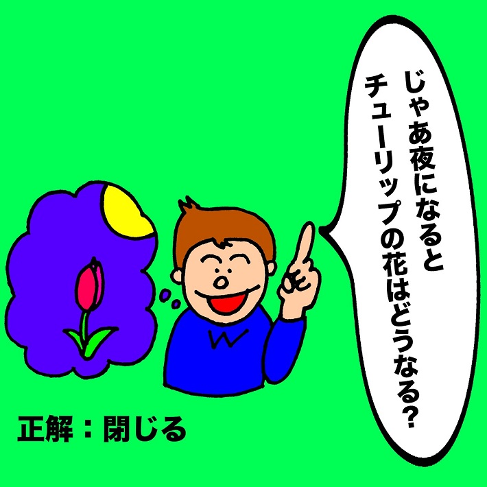パパ芸人タケトの育児漫画_子どもならではの可愛い解答③じゃあ夜になるとチューリップの花はどうなる?