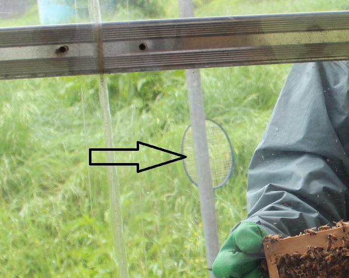 はちみつ王子のいる「はちみつ工房」(千葉県君津市)では養蜂の現場を間近で見られます