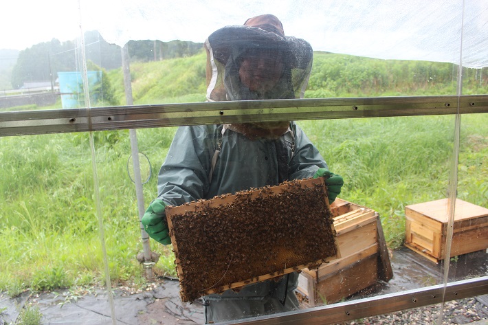 はちみつ王子のいる「はちみつ工房」(千葉県君津市)では養蜂の現場を間近で見られます
