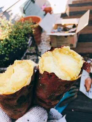 おいしい焼き芋を作るコツは低温でじっくり時間をかけて火を通すことです