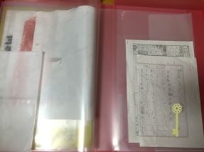 コストコ作品ファイル2