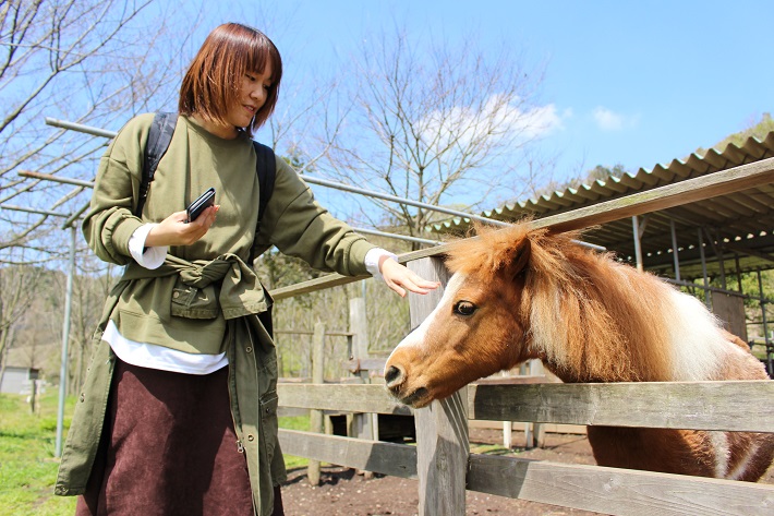 ダチョウ王国 袖ケ浦ファーム 馬