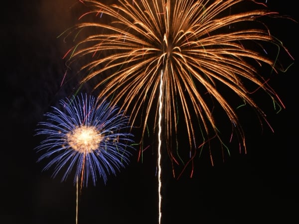 真夏の夜空を彩る浦安市花火大会の花火