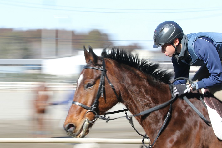 ジョッキーを目指して乗馬の練習をする馬の学校の男子生徒