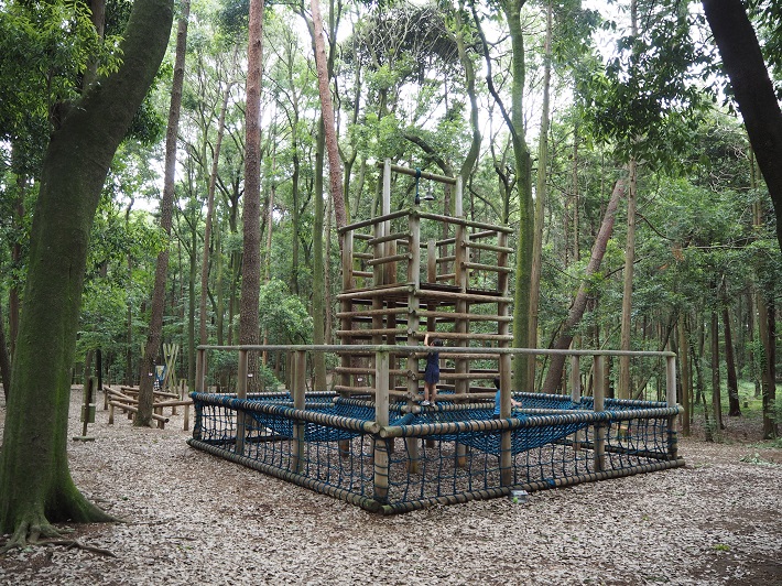 手賀の丘公園のキャンプ場とアスレチック