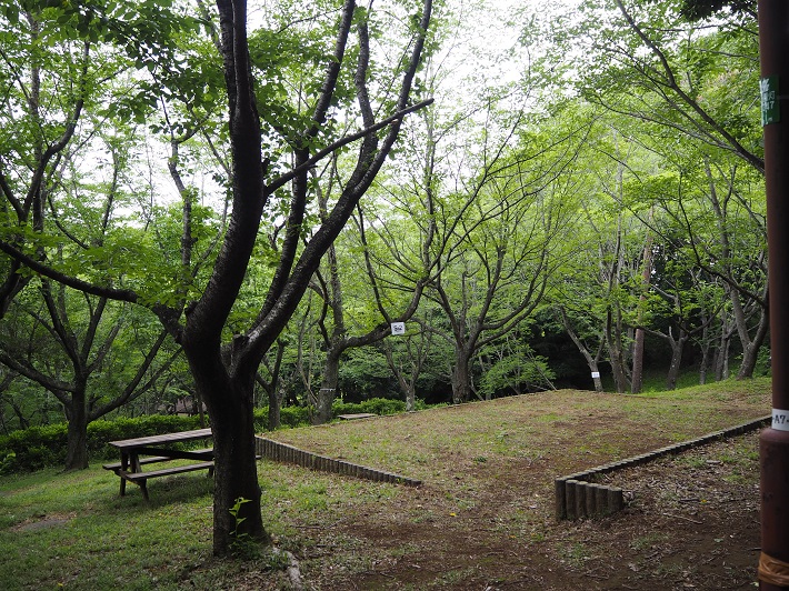 手賀の丘公園のキャンプ場