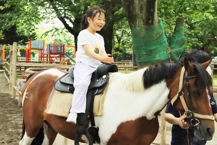 清水公園乗馬体験ができるポニー牧場