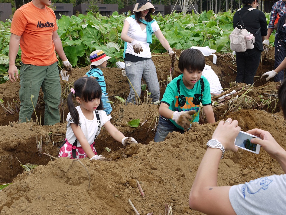 千葉県香取市の「ＴＨＥ ＦＡＲＭ（ザ ファーム）」